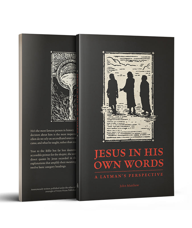 Jesus in His Own Words: A Layman's Perspective - Paperback